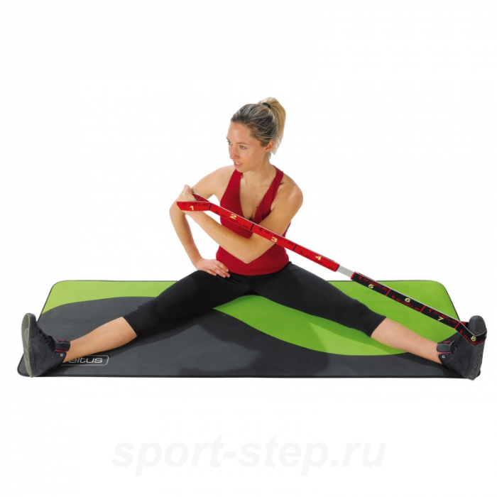 Эспандер Elastiband 3 сопротивления (DVD и постер в комплекте) 