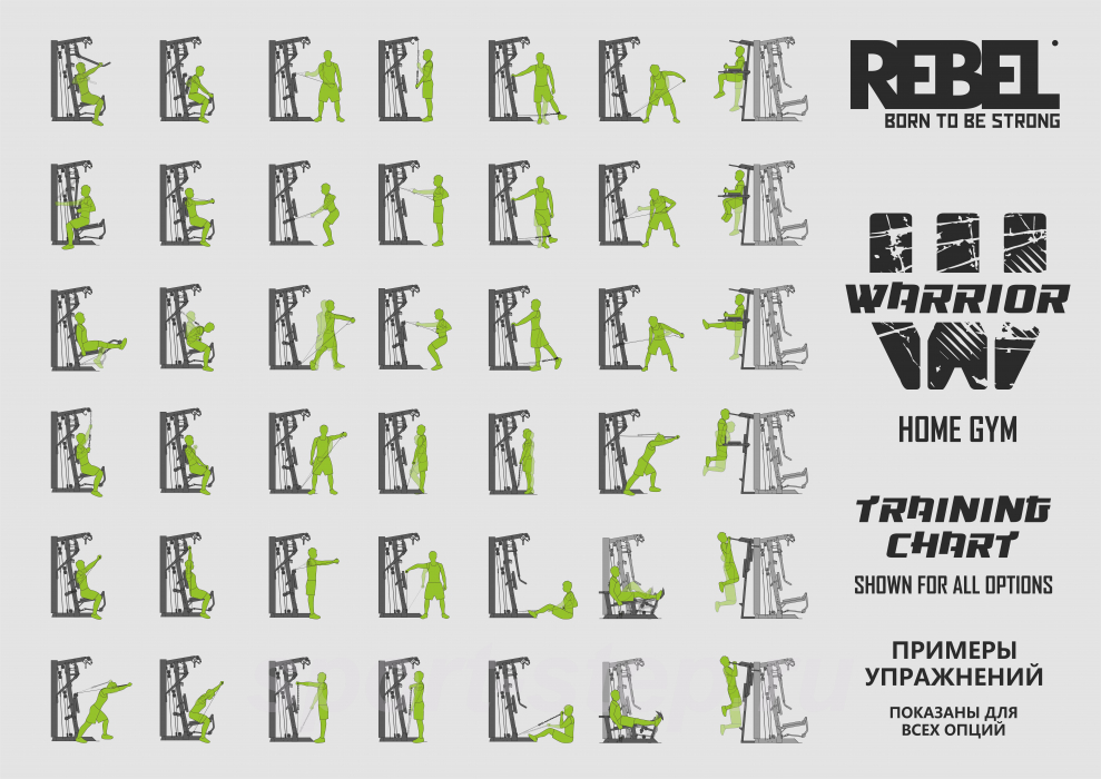 Многофункциональный тренажер REBEL WARRIOR в комплекте с Турником