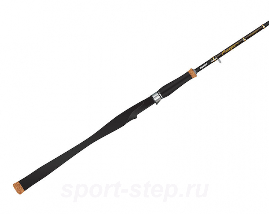 Ayashi Kegon KS802MH (2.44m 11-35g)