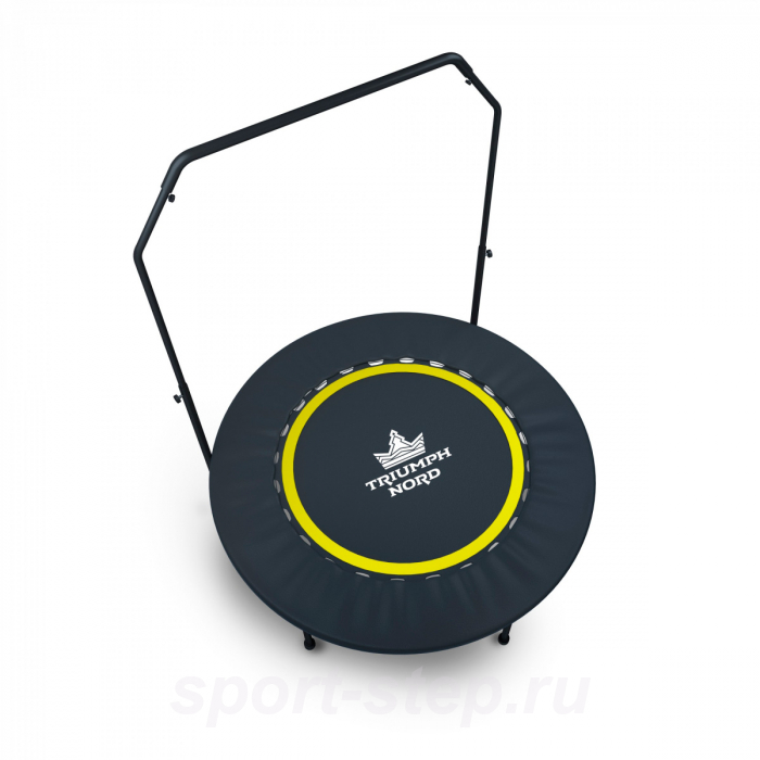 Батут - тренажер Triumph с держателем 102 см
