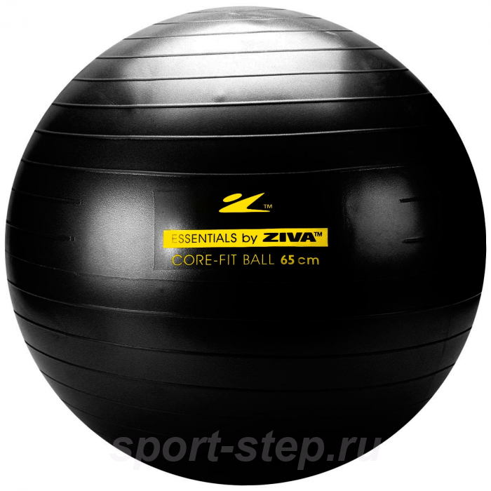 Гимнастический мяч ZIVA 65 см с насосом черный ZES-CFCB-0065