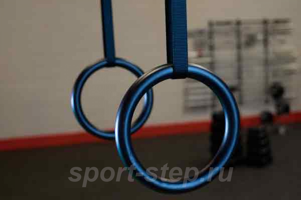 Кольца гимнастические Premium Body Solid BSTRINGS