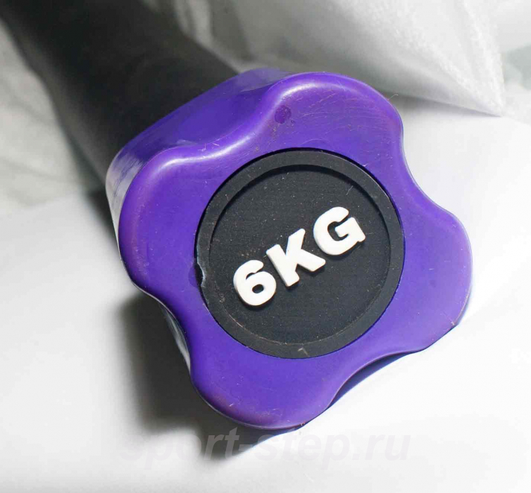 Бодибар 6 кг Fitness Tools FT-BDB-6