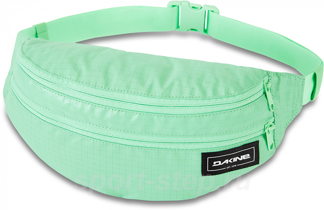 Сумка поясная Dakine Classic Hip Pack Large Dusty Mint Ripstop