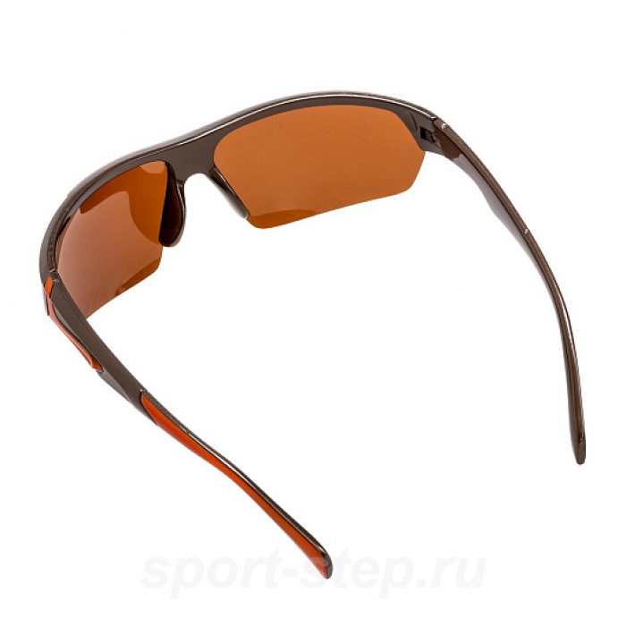 Очки поляризационные в жест.чехле (коричневый) (PR-OP-9419-B-C) PREMIER Очки поляризационные в жест.чехле (коричневый) (PR-OP-9419-B-C) PREMIER