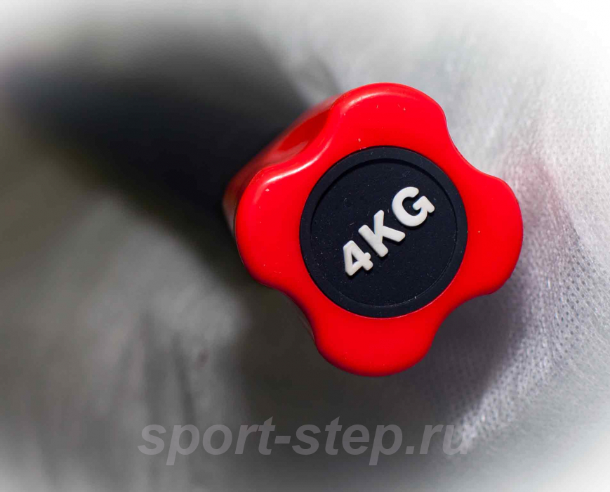 Бодибар 4 кг Fitness Tools FT-BDB-4