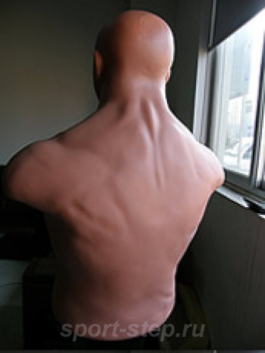 Водоналивной мешок Adjustable Punch Man-Medium Centurion черный