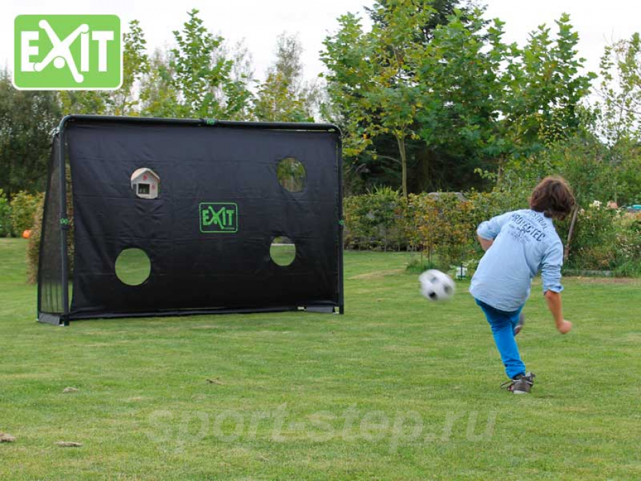 Футбoльныe воротa Exit Финтa