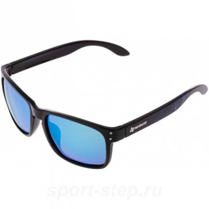 Очки поляризационные в жест.чехле (N-OP-LZ0159-1-B) Nisus