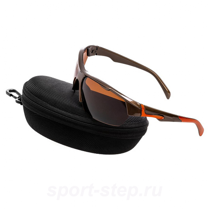 Очки поляризационные в жест.чехле (коричневый) (PR-OP-9419-B-C) PREMIER Очки поляризационные в жест.чехле (коричневый) (PR-OP-9419-B-C) PREMIER