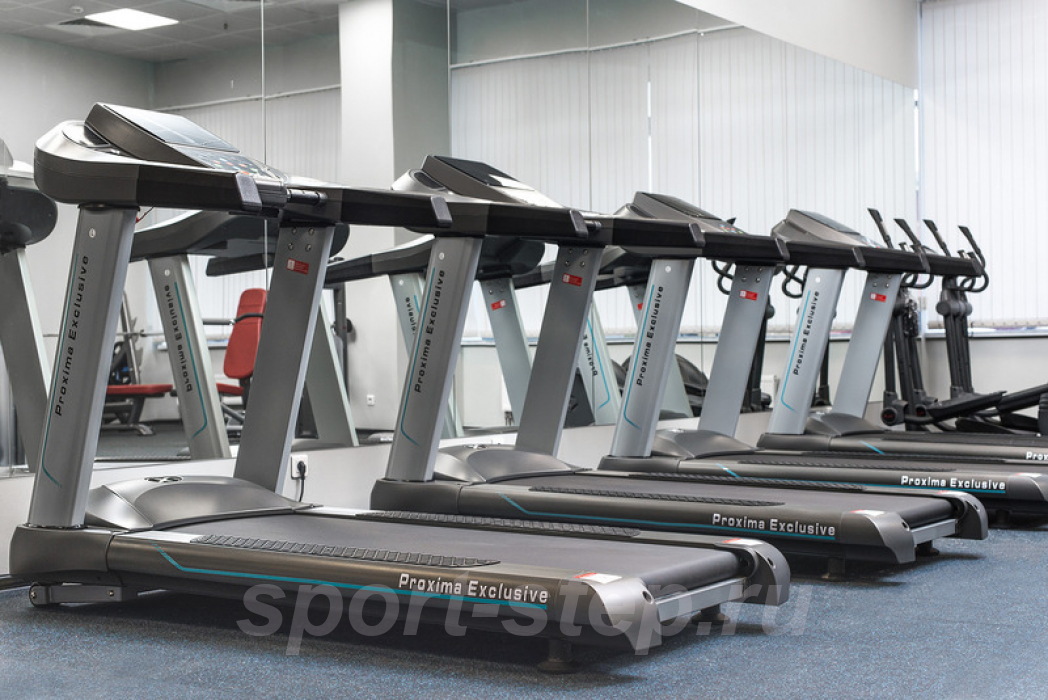 Профессиональная беговая дорожка PROXIMA Exclusive, Арт. JS-125400