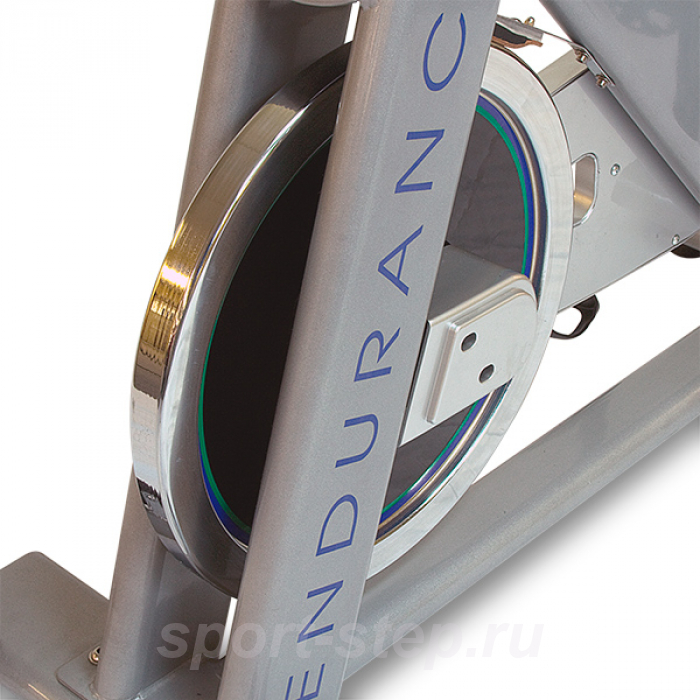 Спинбайк Endurance ESB250